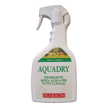 Aqua dry detergente senza acqua 700 ml