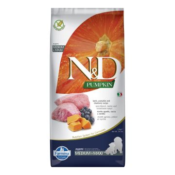 N&d gf pumpkin lamb&blueberry puppy medium&maxi 12 kg N&d gf pumpkin lamb&blueberry puppy medium&maxi 12 kg