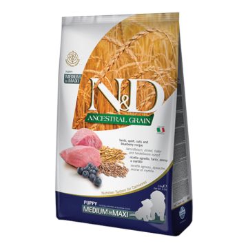 N&d low grain dog lamb & blueberry puppy medium-maxi 12 kg