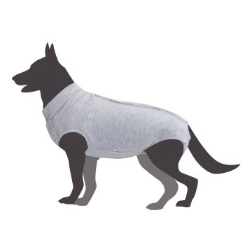 Camon Cane Tutina Post Operatoria Tg. 45