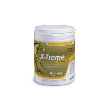 X-treme flame polvere barattolo 450 g X-treme flame polvere barattolo 450 g