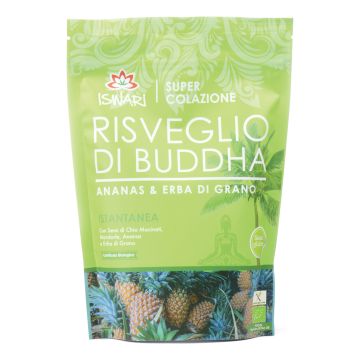 Risveglio buddha ananas & erba gano bio 360  g