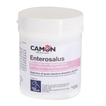 Enterosalus 20 Bustine 2,5 G