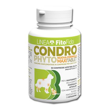 Condrophyto 60 Compresse 2 G