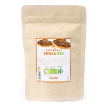 Chaga polvere bio 60 g