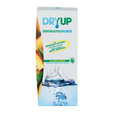 Dryup depurativo forte 300ml