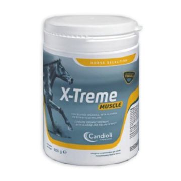 X-treme muscle barattolo 600 g
