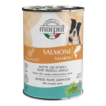 Aequilibriavet salmone 400 g