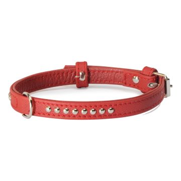 Collare con borchiette rosso 15 x 450 mm Collare con borchiette rosso 15 x 450 mm