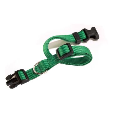 Camon Cane Collare Regolabile Sgancio Rapido 12 Mm Verde