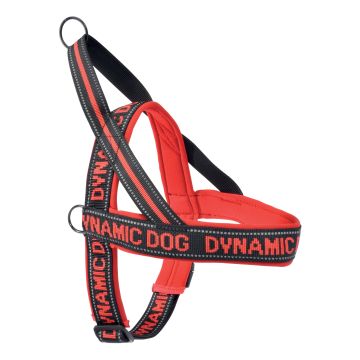 Pettorina in neoprene dynamic rossa 100 mm Pettorina in neoprene dynamic rossa 100 mm