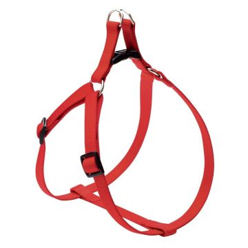 Camon Cane Pettorina In Nylon N. 1 12 Mm Verde