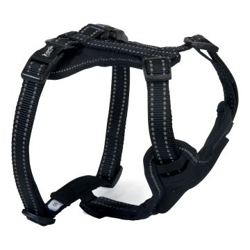 Camon Cane Pettorina In Neoprene "Reflex" 5 Regolazioni Tg. Medium Nero