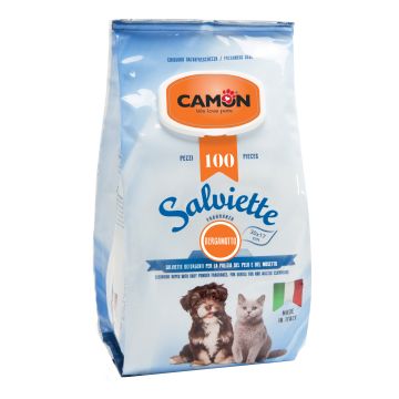 Camon Salviette Detergenti 100 Pezzi Bergamotto