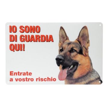 Camon Targa Humor Gatto