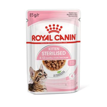 Royal Canin Gatto Kitten Sterilized Busta In Salsa 85 Gr