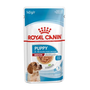 Size health nutrition medium puppy 140 g