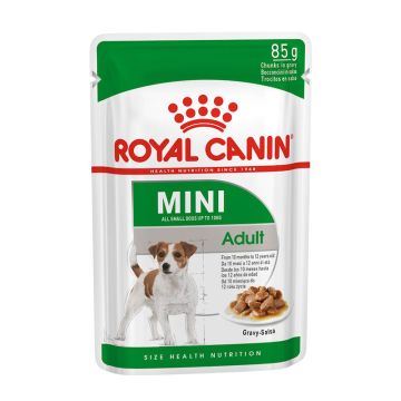 Royal Canin Cane Mini Adulto Busta 85 Gr