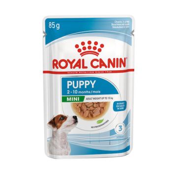 Royal Canin Cane Mini Puppy Busta 85 Gr