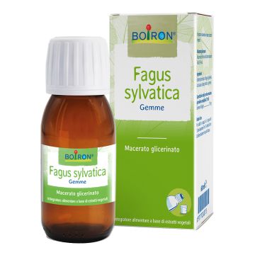 Fagus Sylvatica Boiron Macerato Glicerico 60 Ml