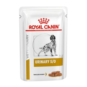 Royal Canin Cane Urinary S/O Cf. (12X100) Gr