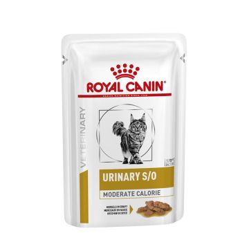 Royal Canin Gatto Urinary S/O Moderate Calories Cf. (12X85) Gr