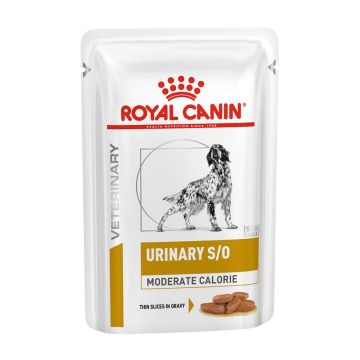 Royal Canin Cane Urinary S/O Moderate Calorie Busta In Salsa Cf. (12X100) Gr