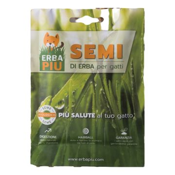 Erba piu' bustina seme 1 pezzo