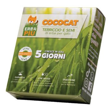 Erba piu' bustina seme 1 pezzo