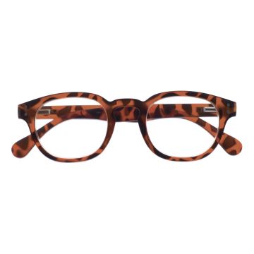 Occhiale da lettura premontato everest turtle +2,0