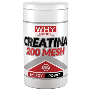 Whysport creatina 200 mesh 500 g