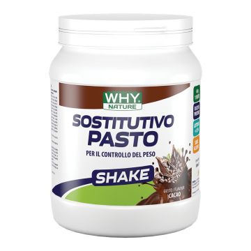 Whynature sostitutivo pasto cacao 480 g