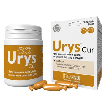 Prodotto Non Piu' In Commercio   
Urys Cur 30 Capsule
Ad Esaurimento Sostituito Con Urys Caps 30 Birilli