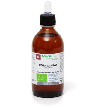 Rosa canina macerato glicerinato bio 1000 ml