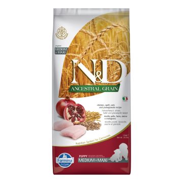 N&d dog ancestral chicken&pomegranate puppy medium maxi 12 kg N&d dog ancestral chicken&pomegranate puppy medium maxi 12 kg