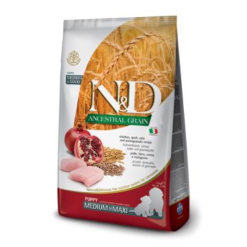 N&d dog ancestral chicken&pomegranate puppy medium maxi 2,5 kg