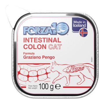 Forza 10 Diet Gatto Intestinal Colon Vaschetta 100 Gr