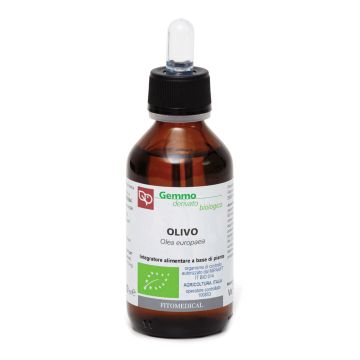 Olivo macerato glicerinato bio 100 ml