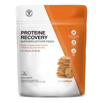 Lfp proteine recovery biscotto 475 g
