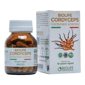 Biolife cordyceps 60 capsule