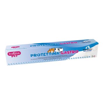 Protettina Gastro Pasta In Siringa 30 G