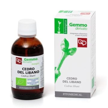 Cedro del libano macerato glicerico 50 ml bio Cedro del libano macerato glicerico 50 ml bio