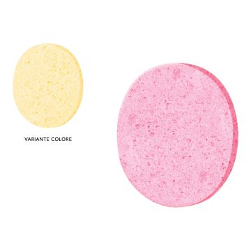 Spugnetta Detergenza Viso Ovale Vari Colori 1194