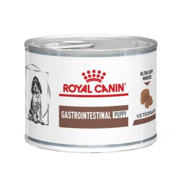 Royal Canin Cane Gastrointestinal Puppy 195 Gr