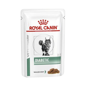 Royal Canin Gatto Diabetic Cf. (12X85) Gr