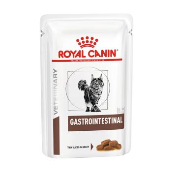 Royal Canin Gatto Gastrointestinal Cf. (12X85) Gr