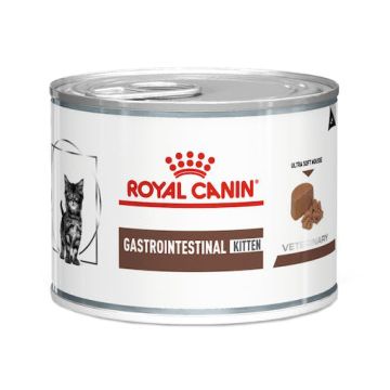 Royal Canin Gatto Gastrointestinal Kitten 195 Gr