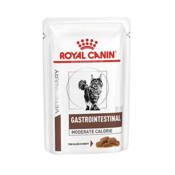 Royal Canin Gatto Gastrointestinal Moderate Calorie Cf. (12X85) Gr
