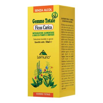 Ficus carica 100 ml