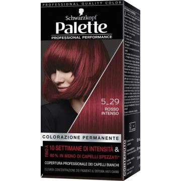 PALETTE - Colorazione permanente N.5-29 Rosso Intenso